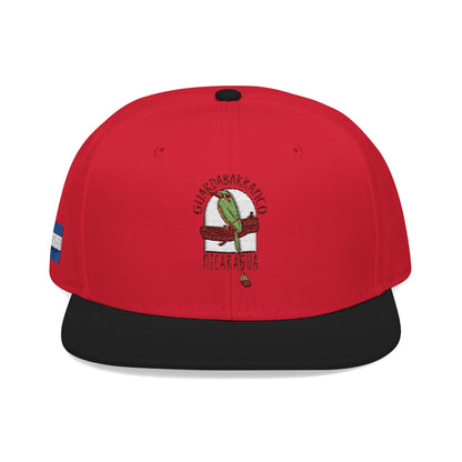 Nicaragua Flag Embroidered Snapback Hat